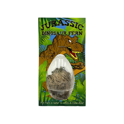 Jurassic Fern