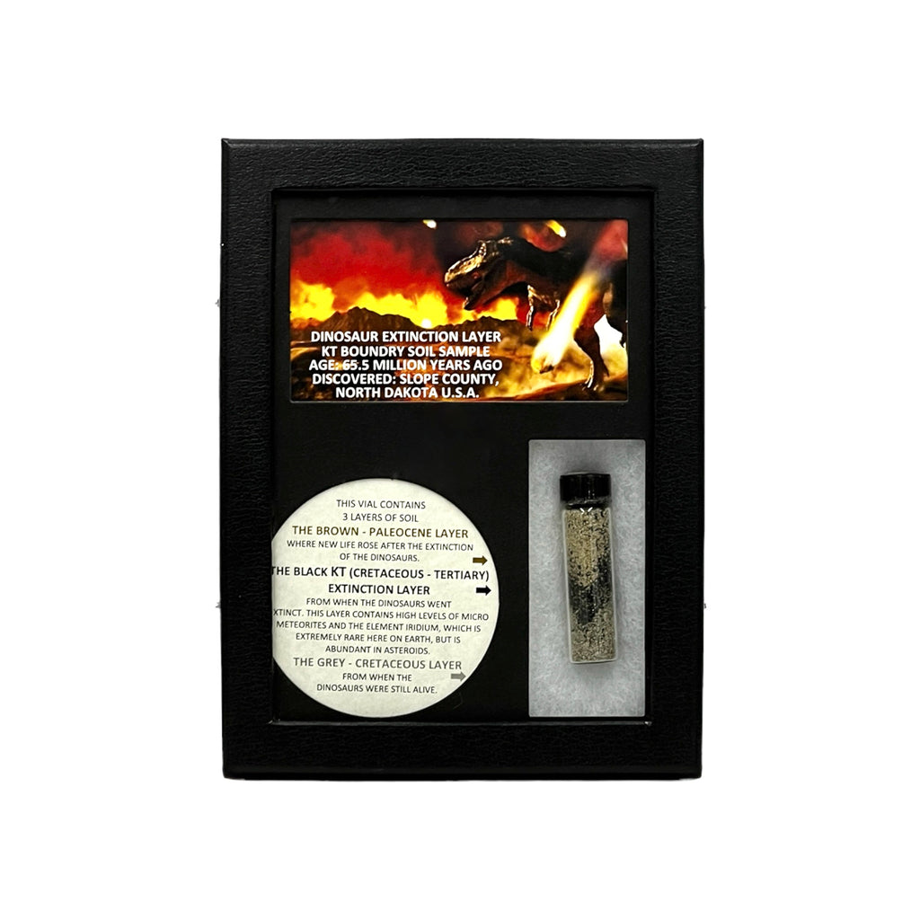KT Layer Display