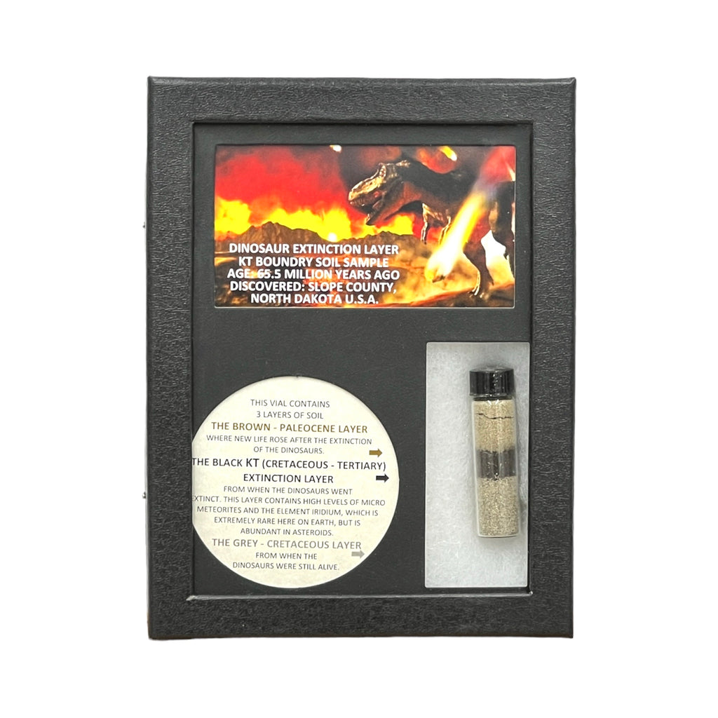 KT Layer Display
