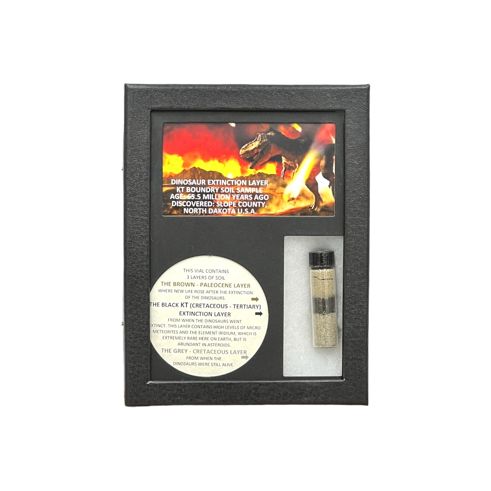 KT Layer Display