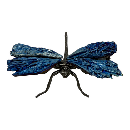 Kyanite Dragonfly