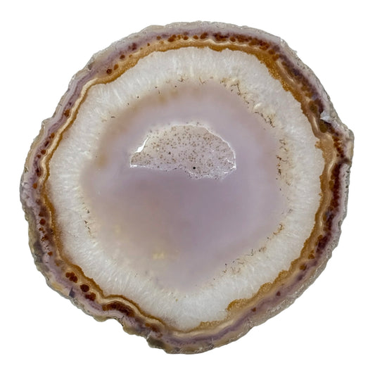 Agate Slice (Large)
