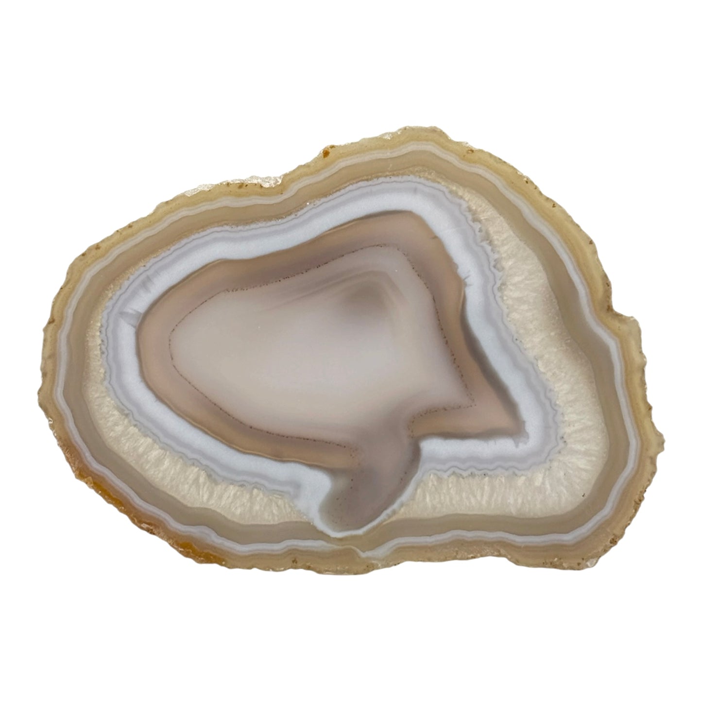 Agate Slice (Large)
