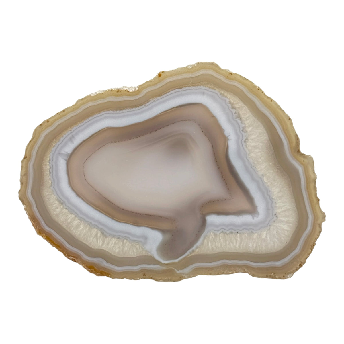 Agate Slice (Large)