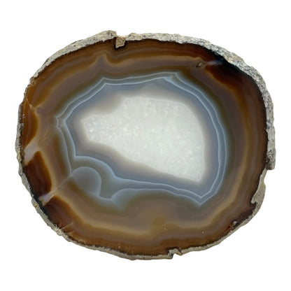 Agate Slice (Large)