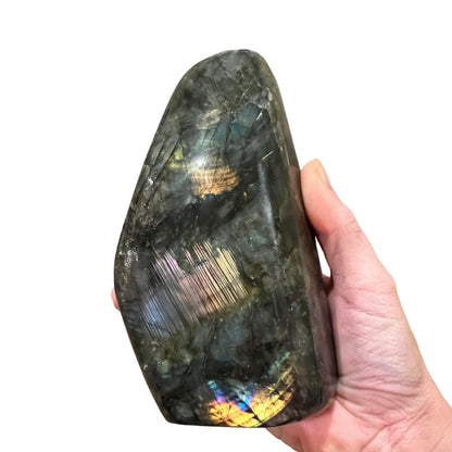 Labradorite (5.5")