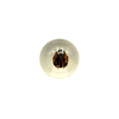 Specimen Orbs (Beetles)