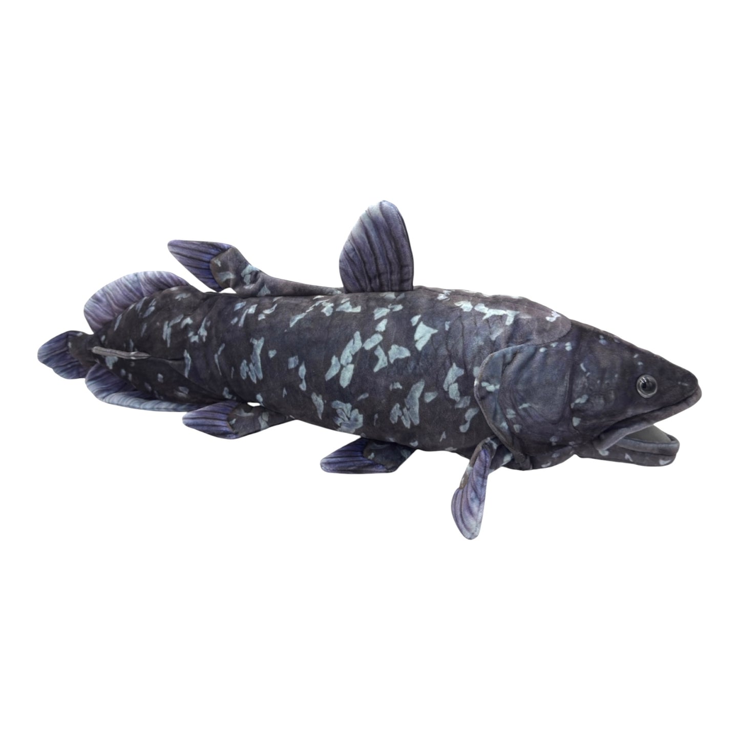 Coelacanth Plush (22.5")