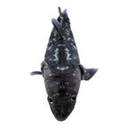 Coelacanth Plush (22.5")
