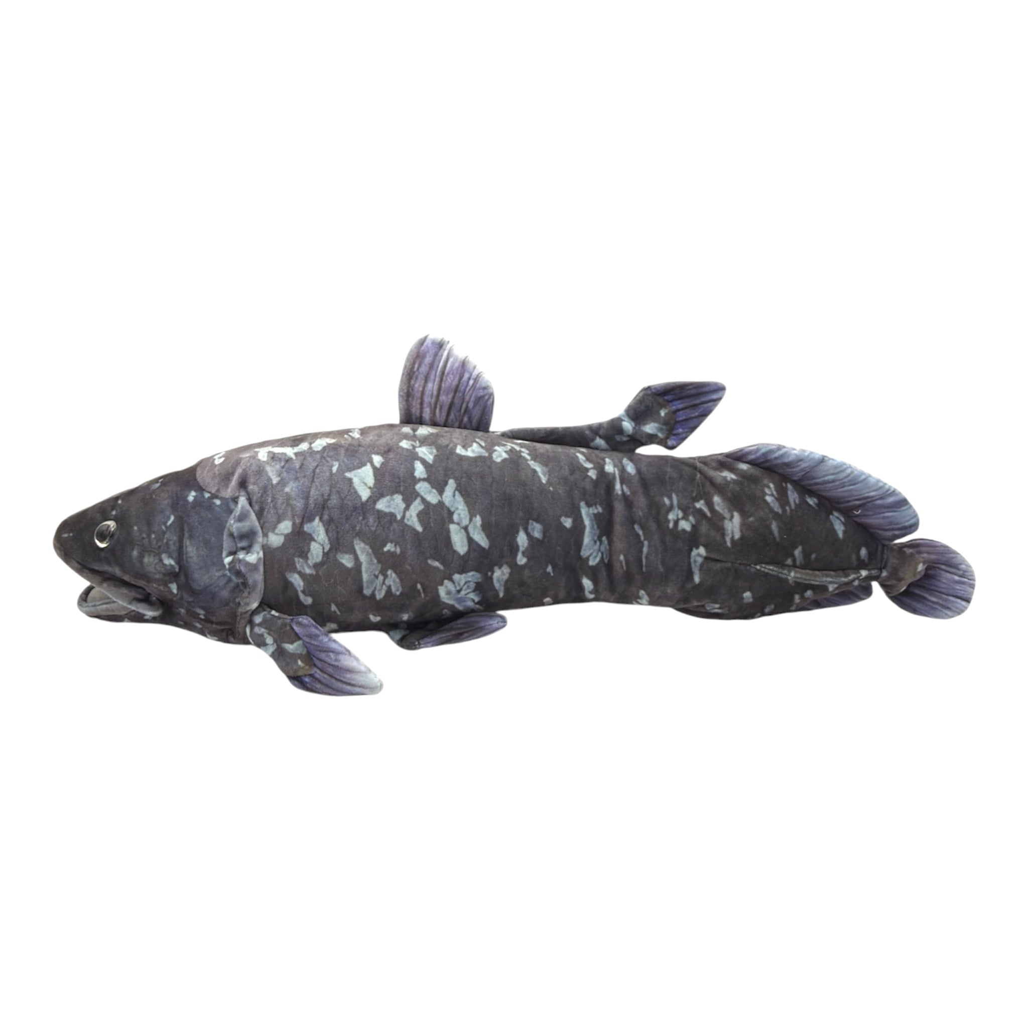 Coelacanth Plush (22.5")