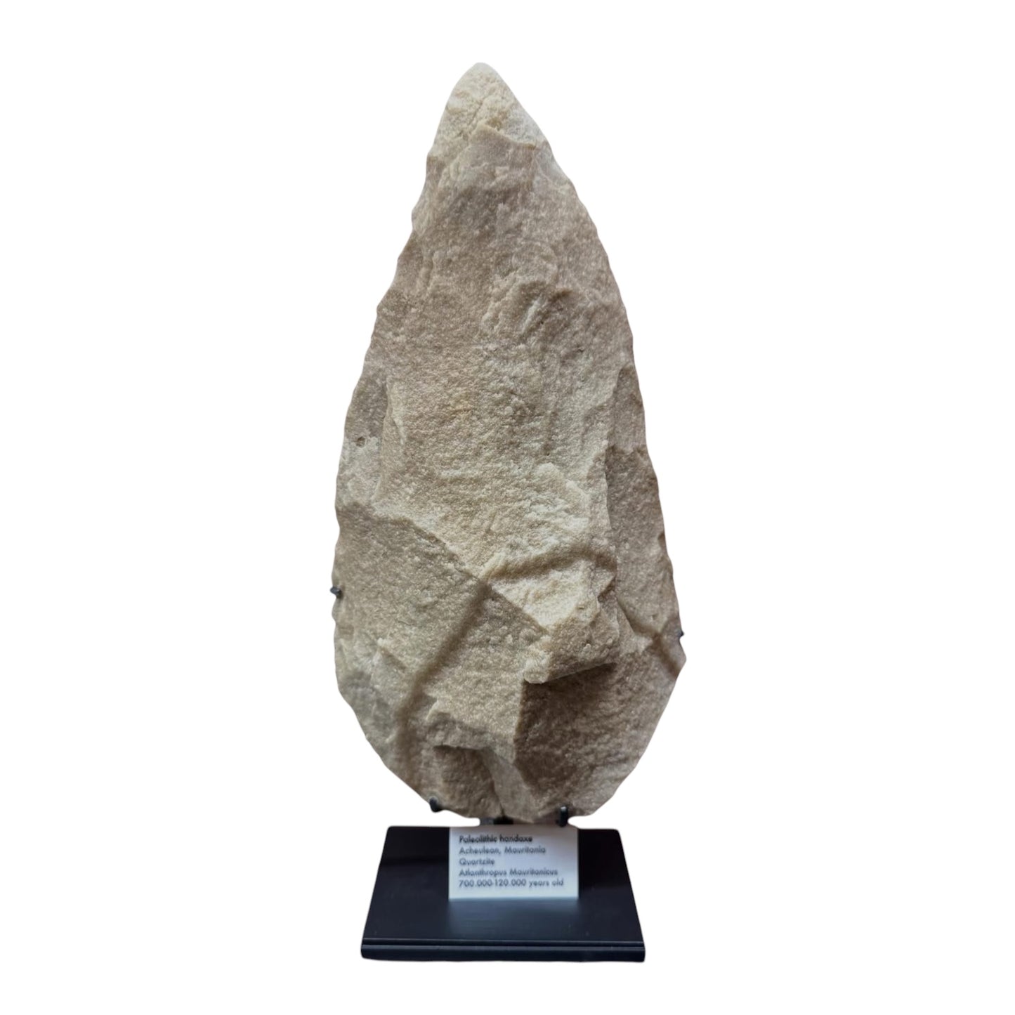 Paleolithic Hand Axe