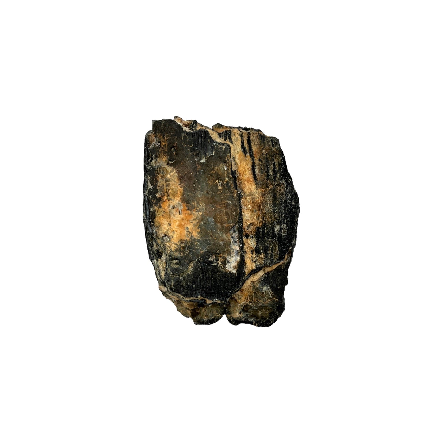 Mammoth Tooth Fragment (Small)