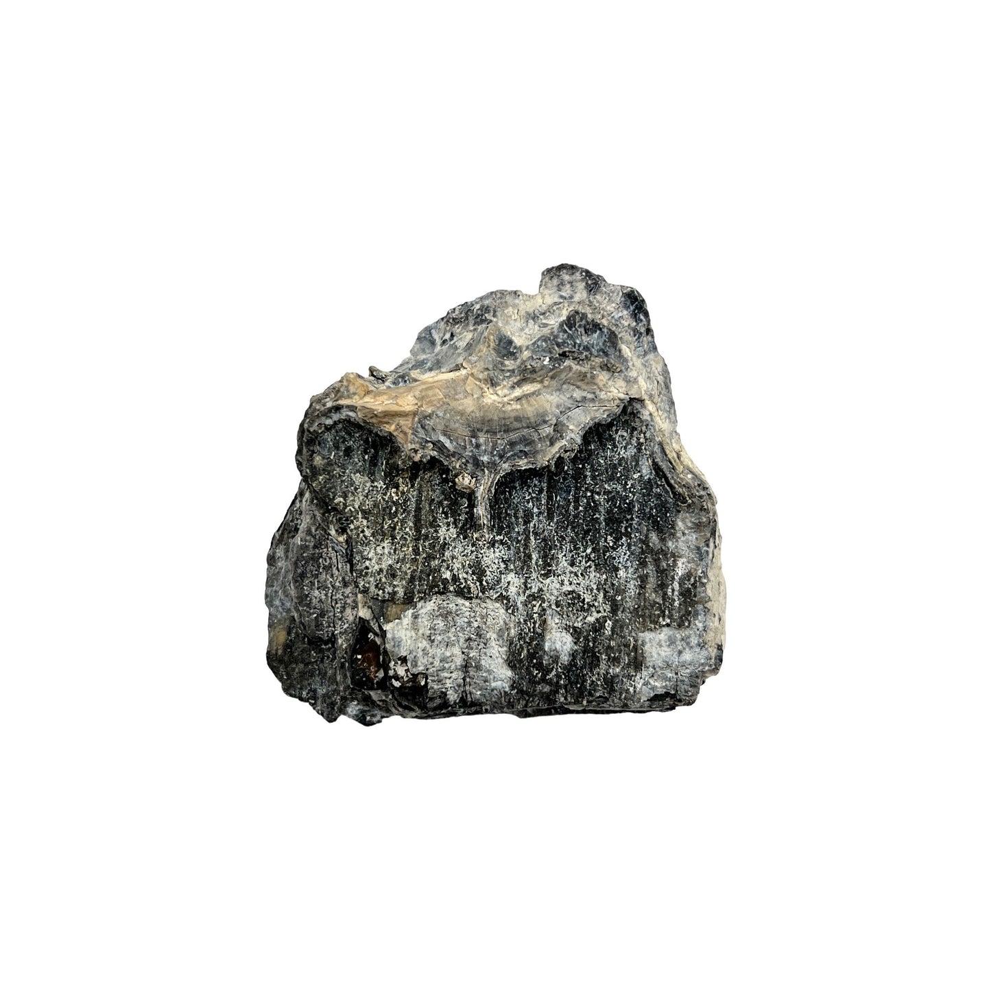 Mammoth Tooth Fragment (Small)