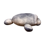 Manatee Plush