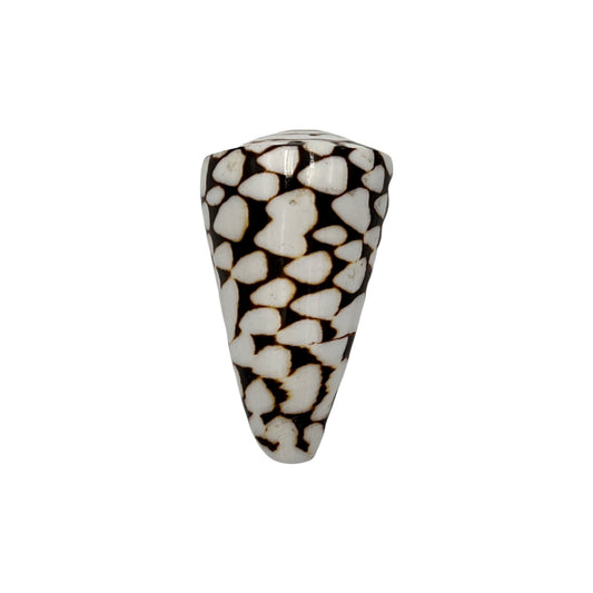 Marble Cone