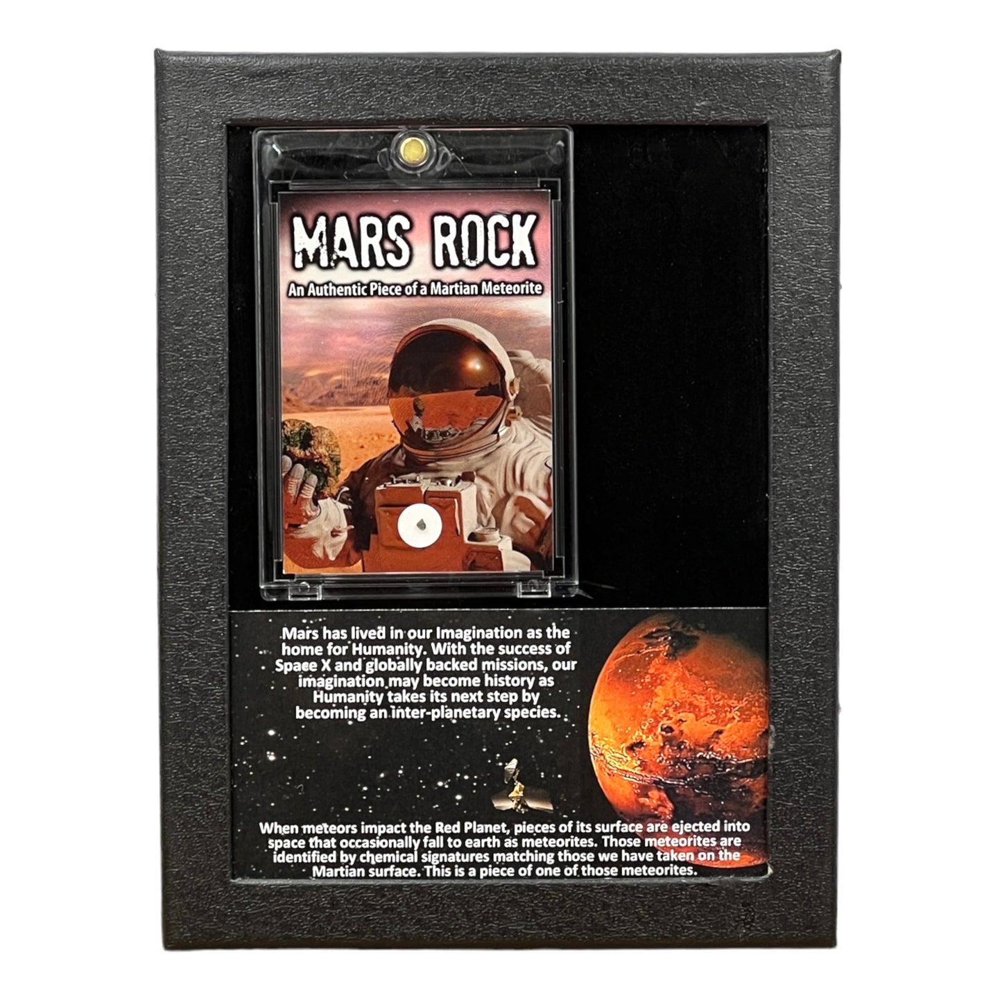 Mars Rock Display