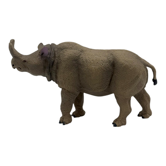 Megacerops (Safari)