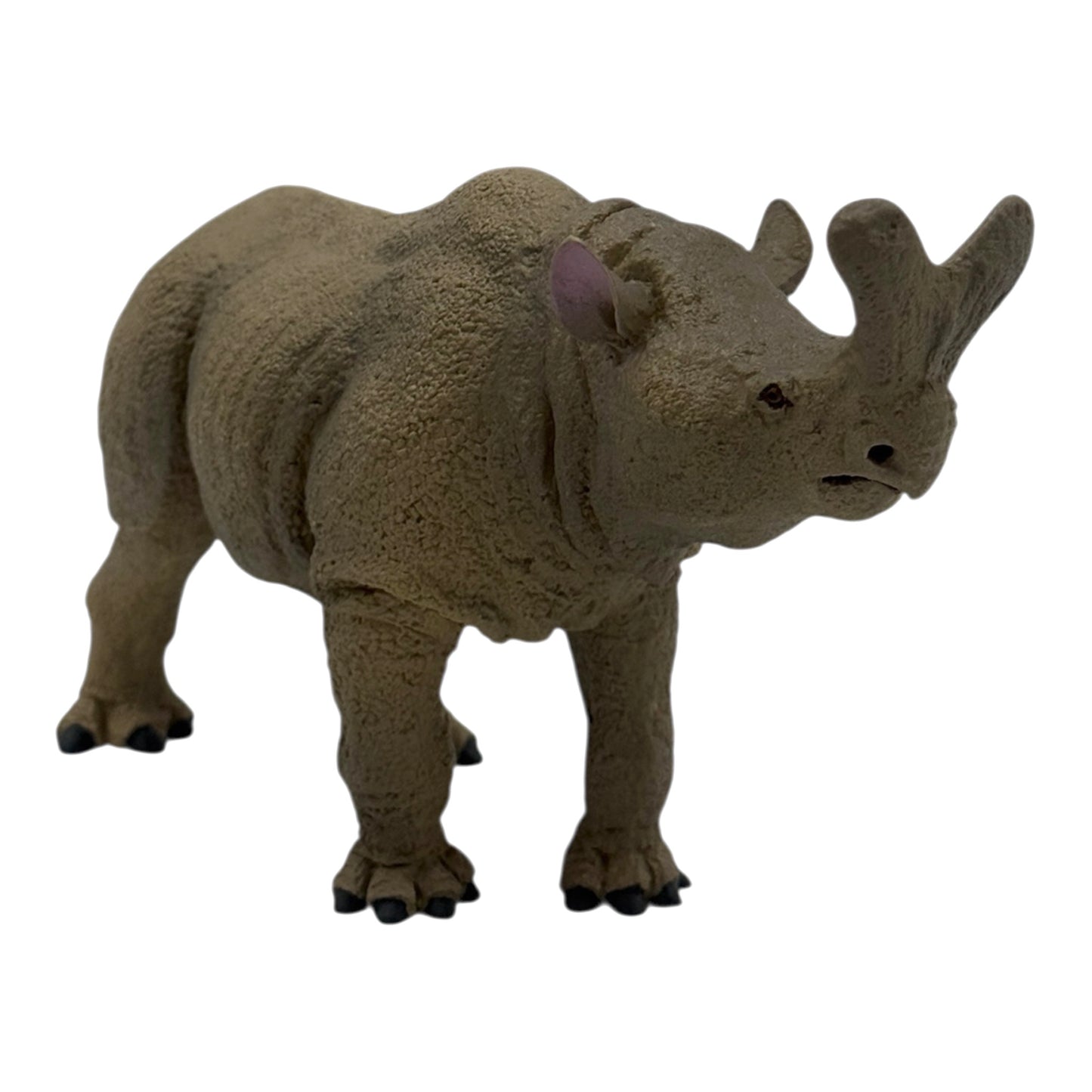 Megacerops (Safari)