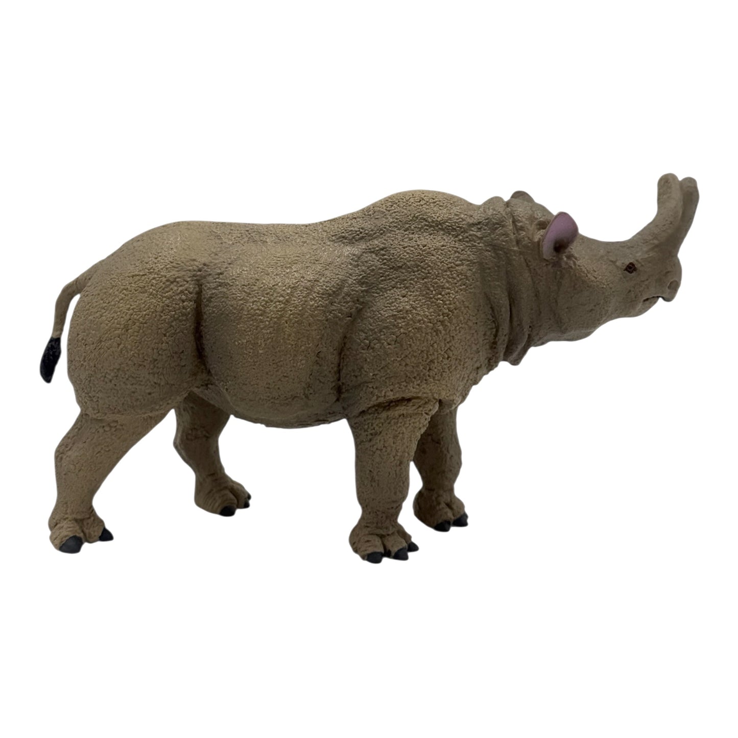 Megacerops (Safari)