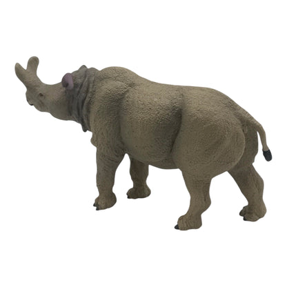 Megacerops (Safari)