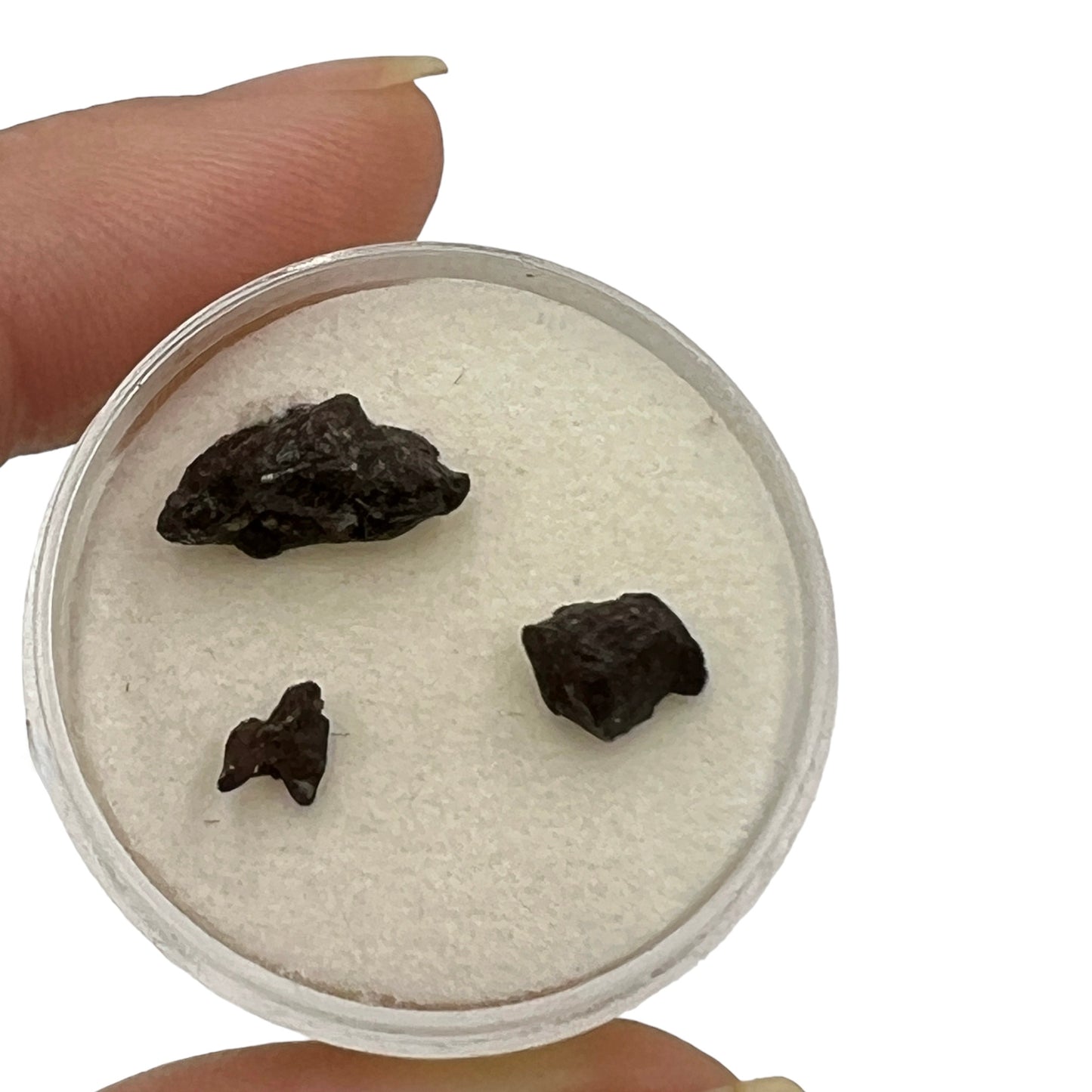 Genuine Meteorite Chips