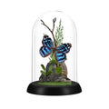 Mexican Bluewing Butterfly Diorama