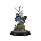 Mexican Bluewing Butterfly Diorama