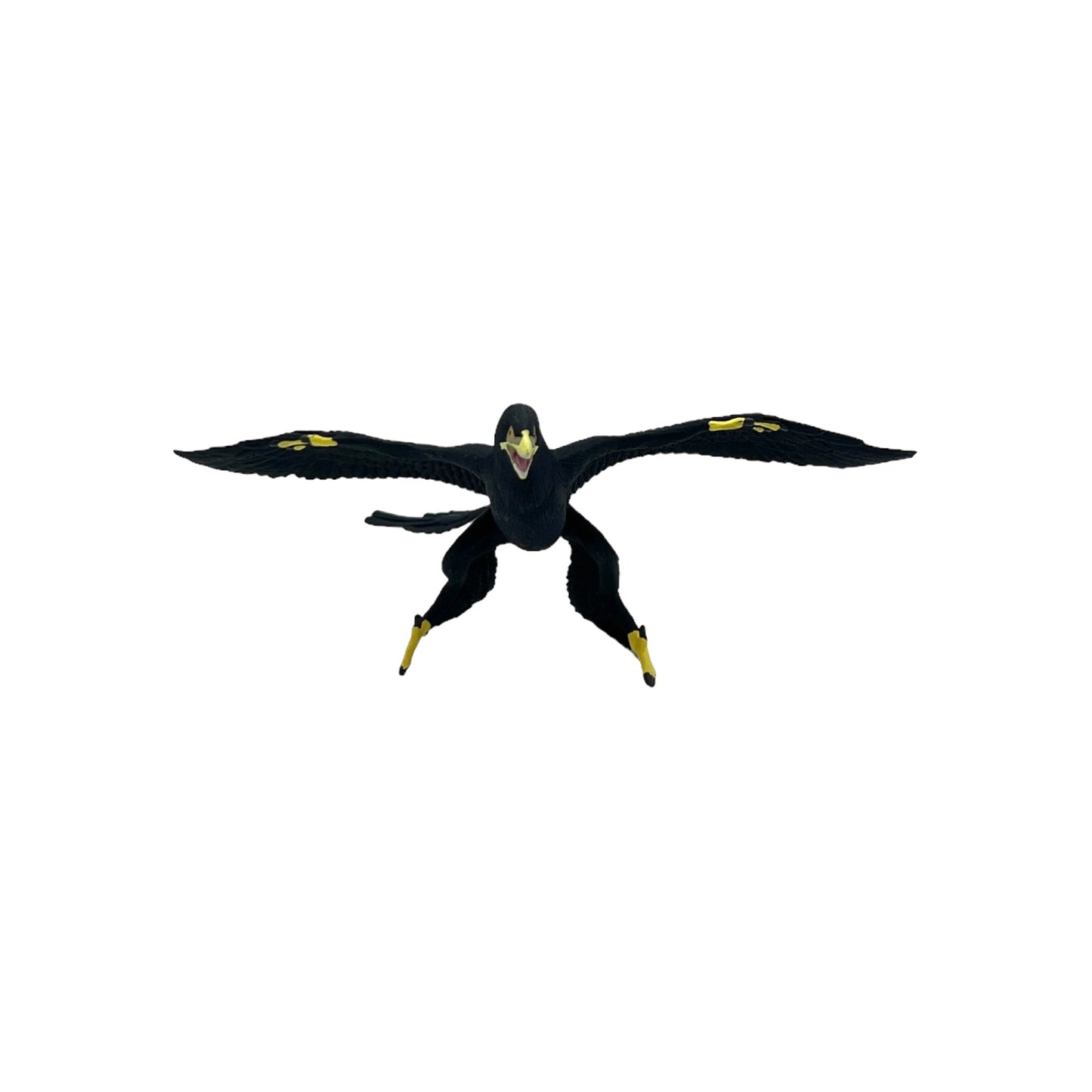 Microraptor (Safari)