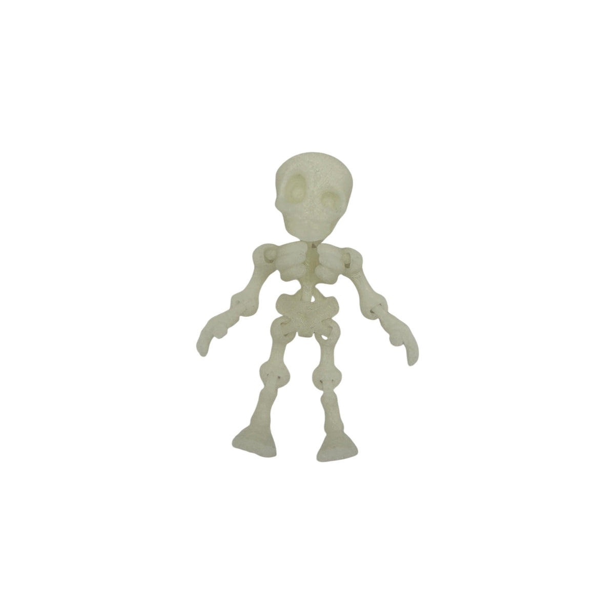 3D Printed Human Skeleton