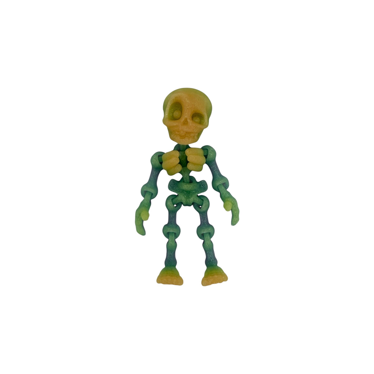 3D Printed Human Skeleton