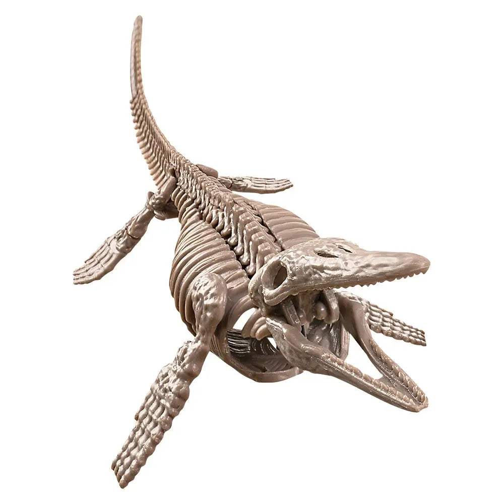 Dig a Skeleton