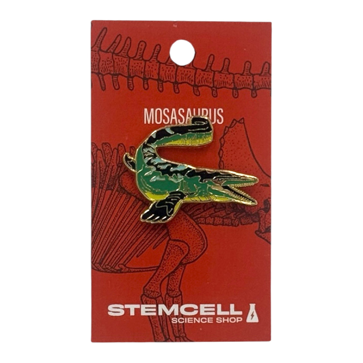 Prehistoric Pin