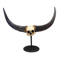 Naga Tribal Skull