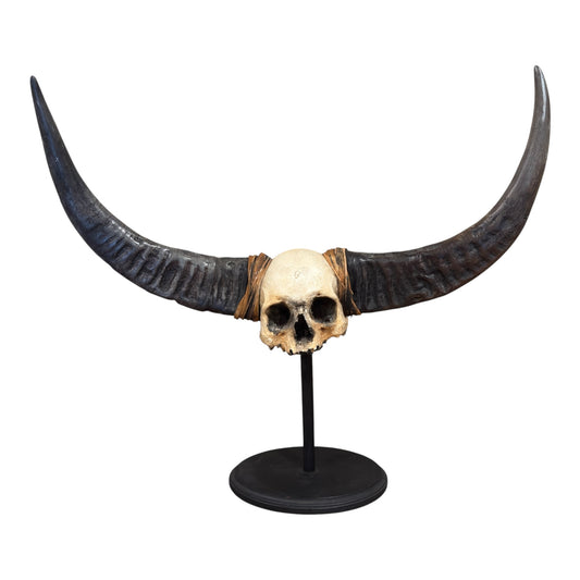 Naga Tribal Skull
