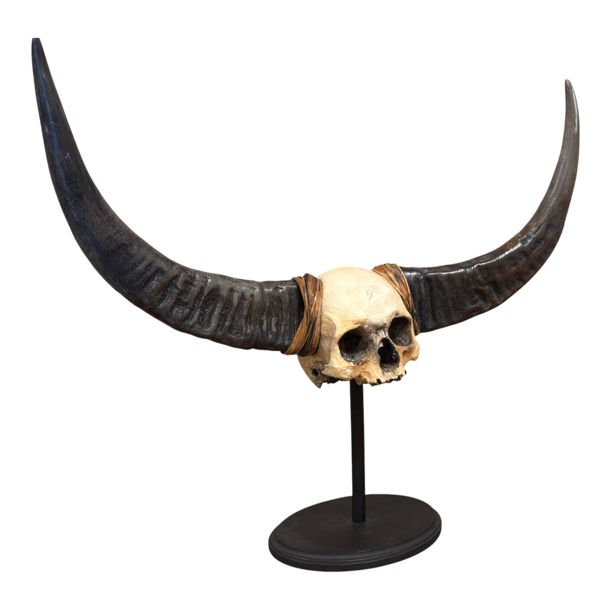 Naga Tribal Skull