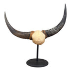 Naga Tribal Skull