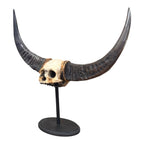 Naga Tribal Skull
