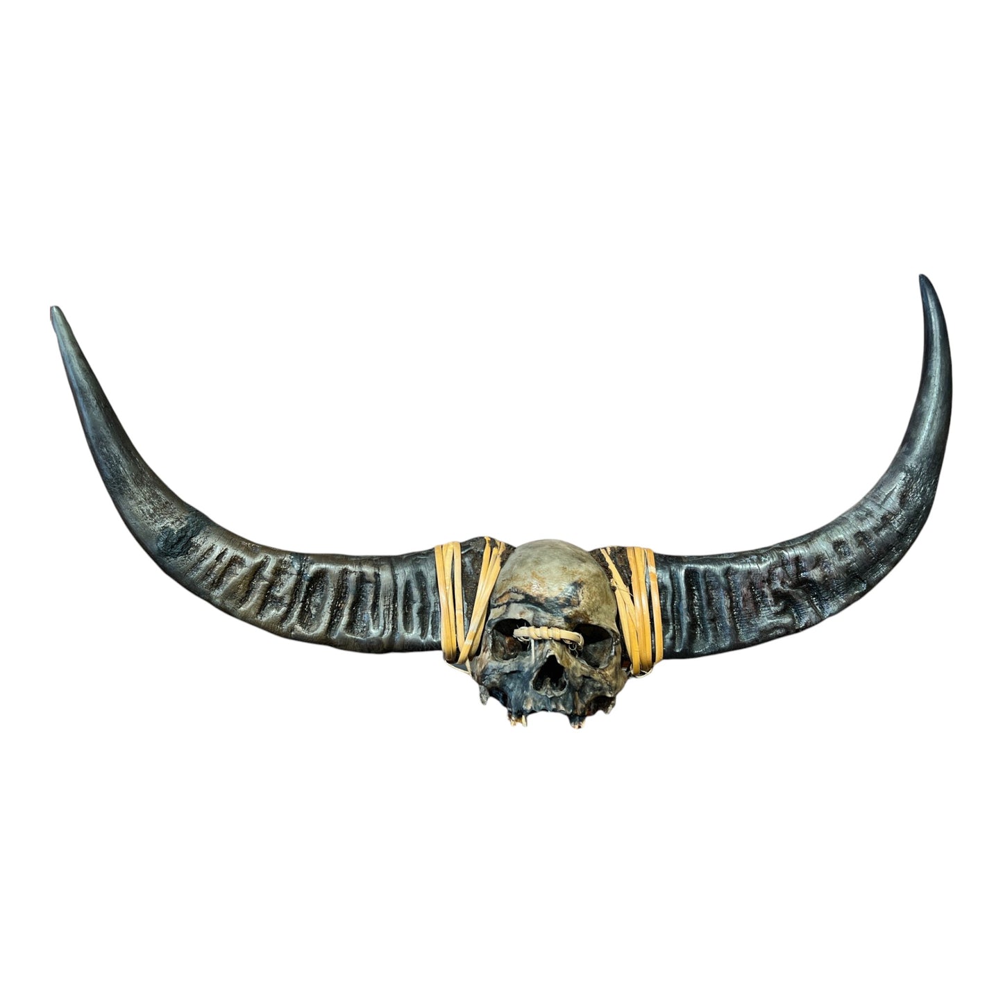 Naga Tribal Skull