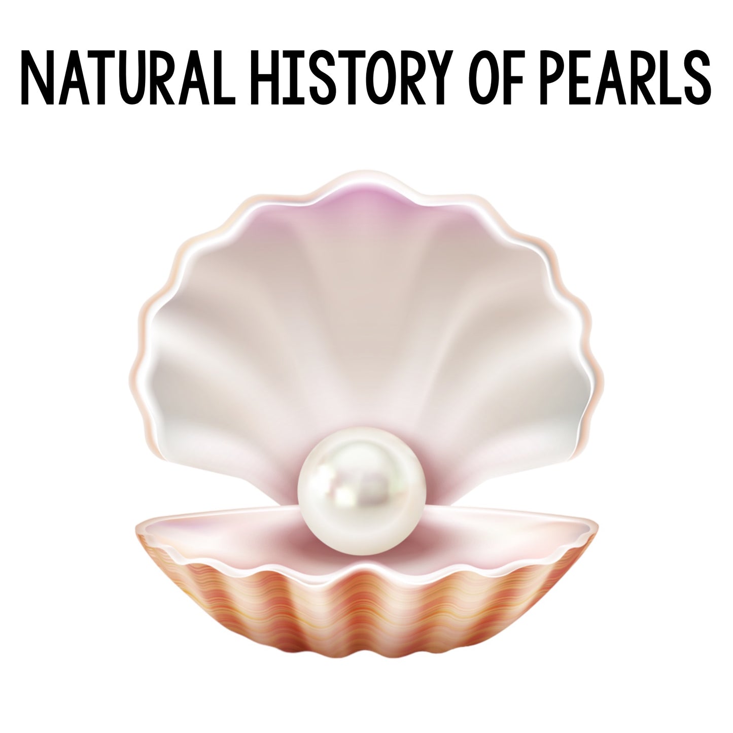 Natural History of Pearls