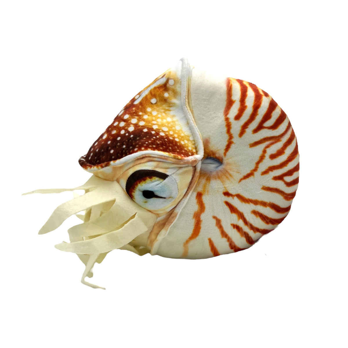 Nautilus Plush