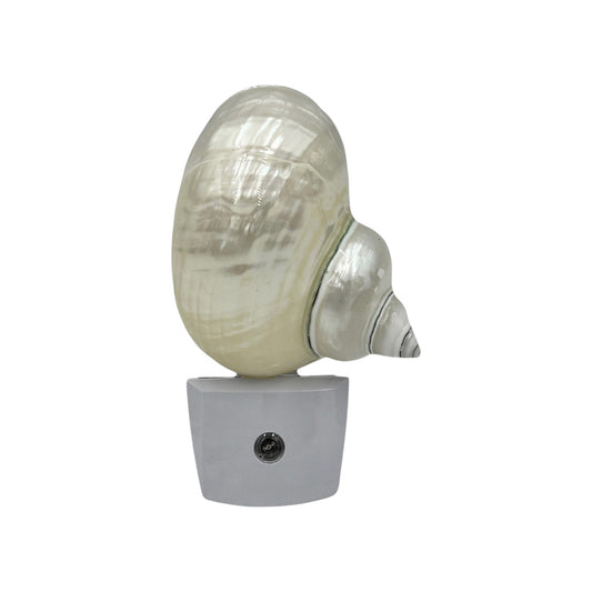 White Turbo Shell Night Light