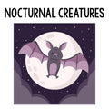 Nocturnal Creatures Class