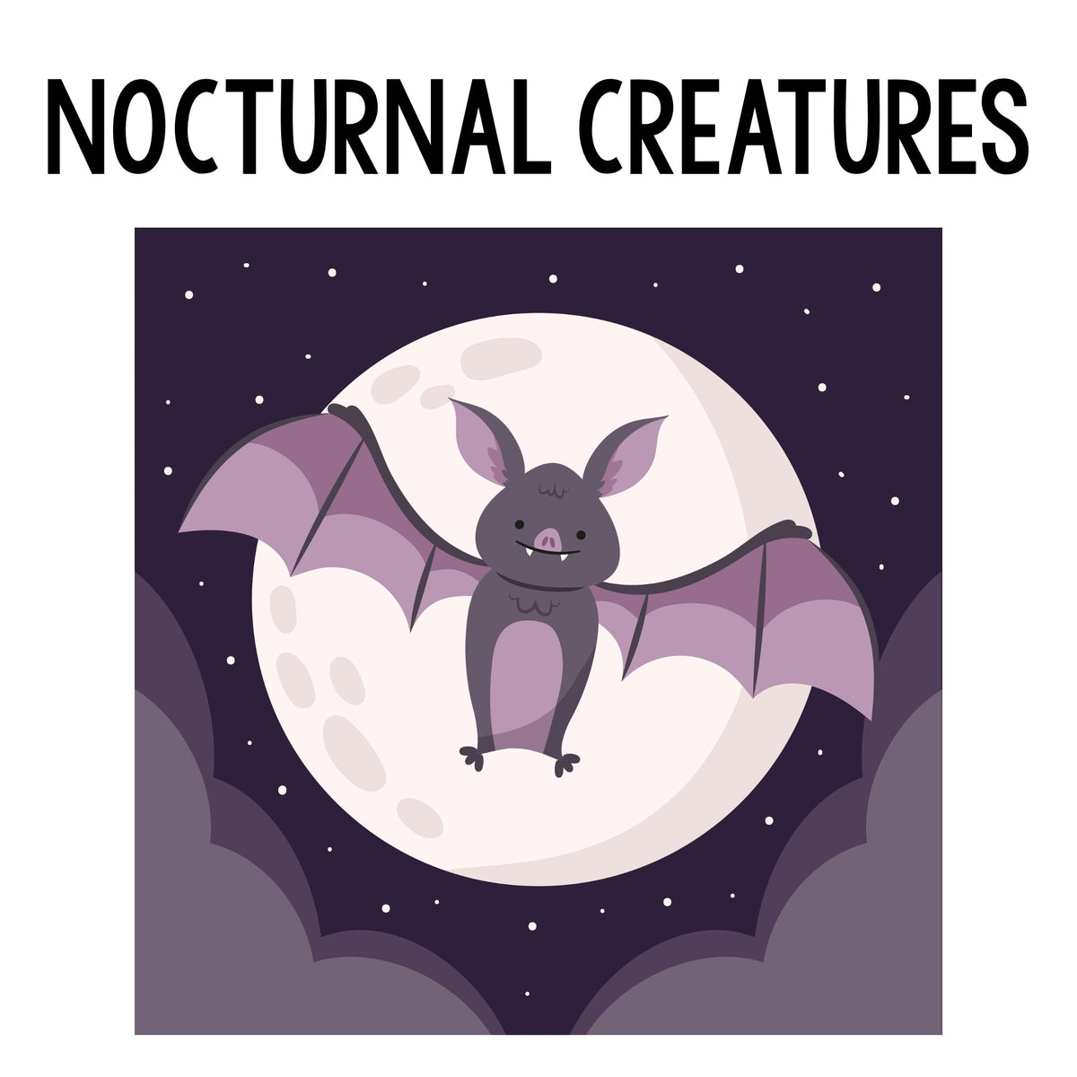 Nocturnal Creatures Class
