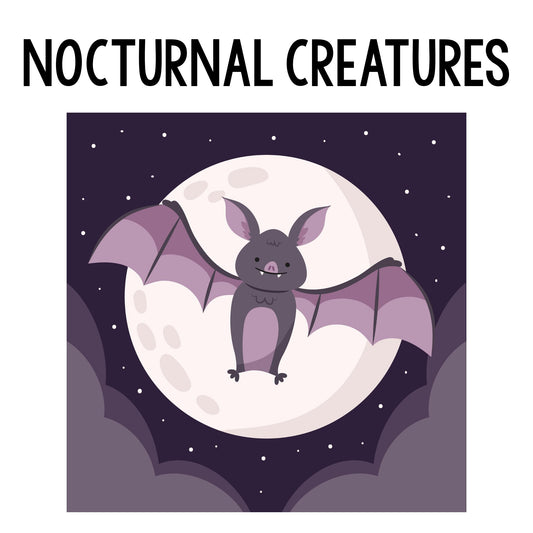 Nocturnal Creatures Class