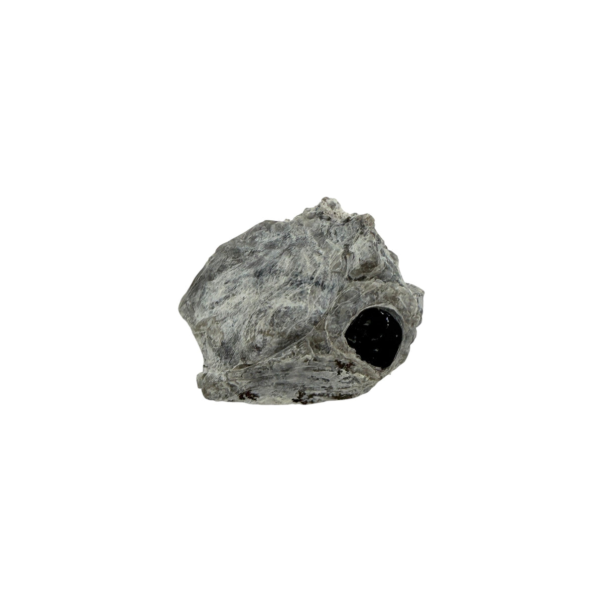 Obsidian in Matrix