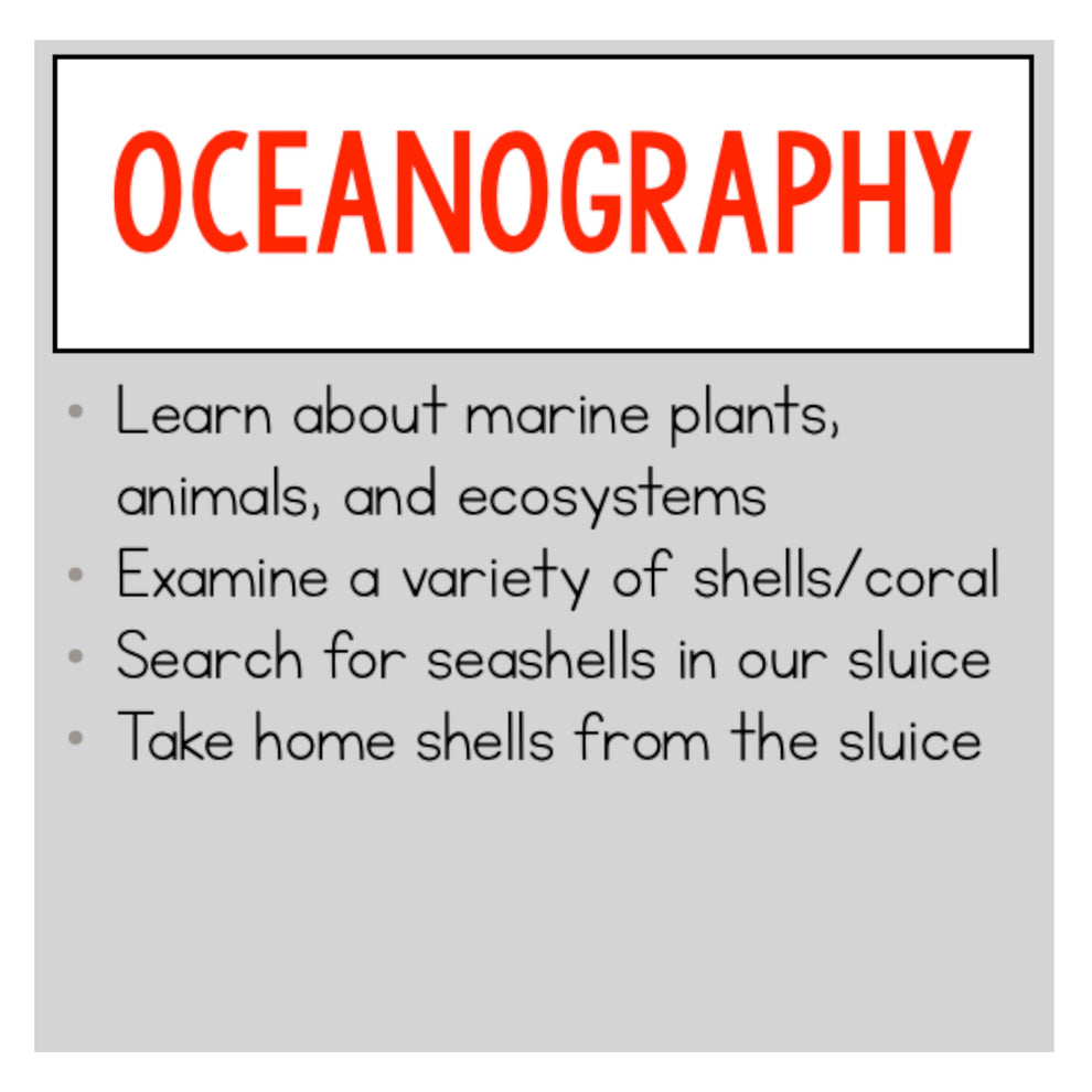Oceanography Class - Sift for Seashells – Tyrannostorus