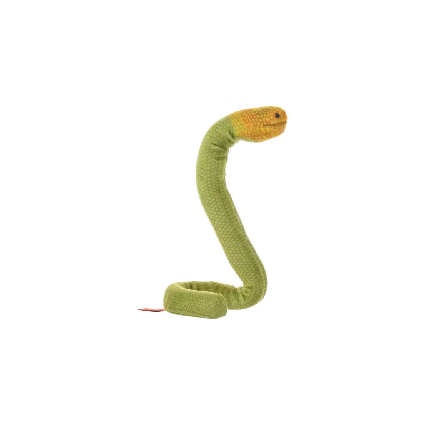 Coilkins Snake