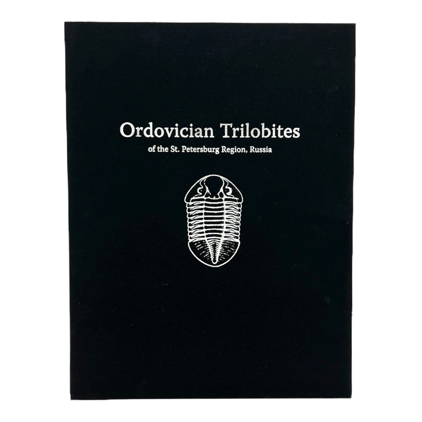 Ordovician Trilobites