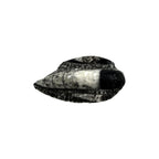Orthoceras Fossil Plate