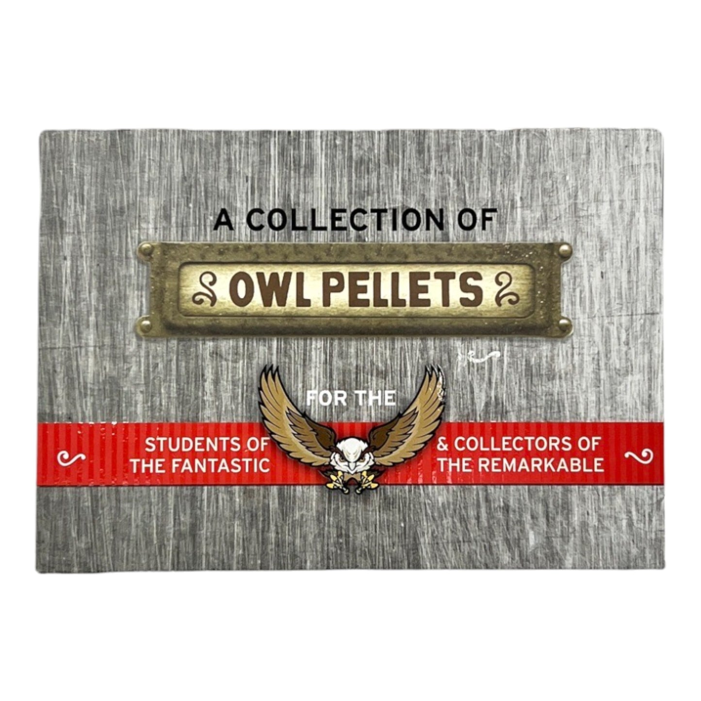 Owl Pellet Deluxe Kit